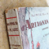 D'Artagnan contre Cyrano, l'Héritage de Buckingnam - TOME 4