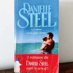 Le cadeau - Un si grand amour, Danielle Steel